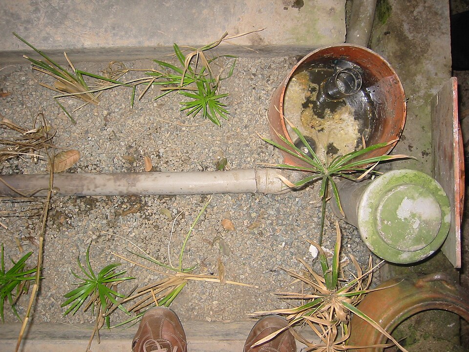 A simple in-ground grease trap pot catching kitchen greywater before it feeds a reed bed