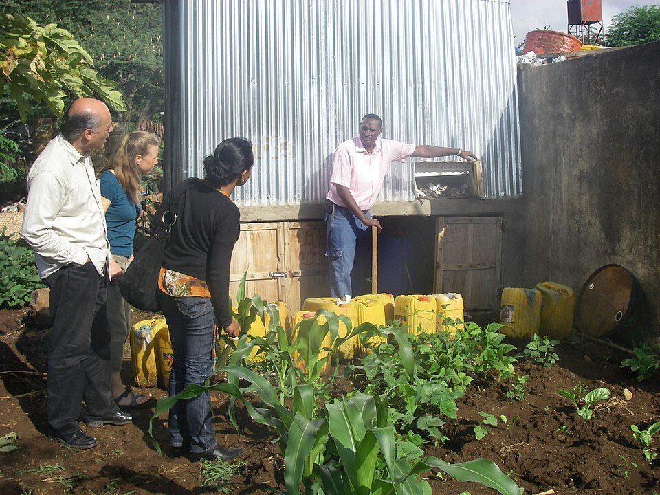 Group observing a garden bed with corn plants and yellow containers.