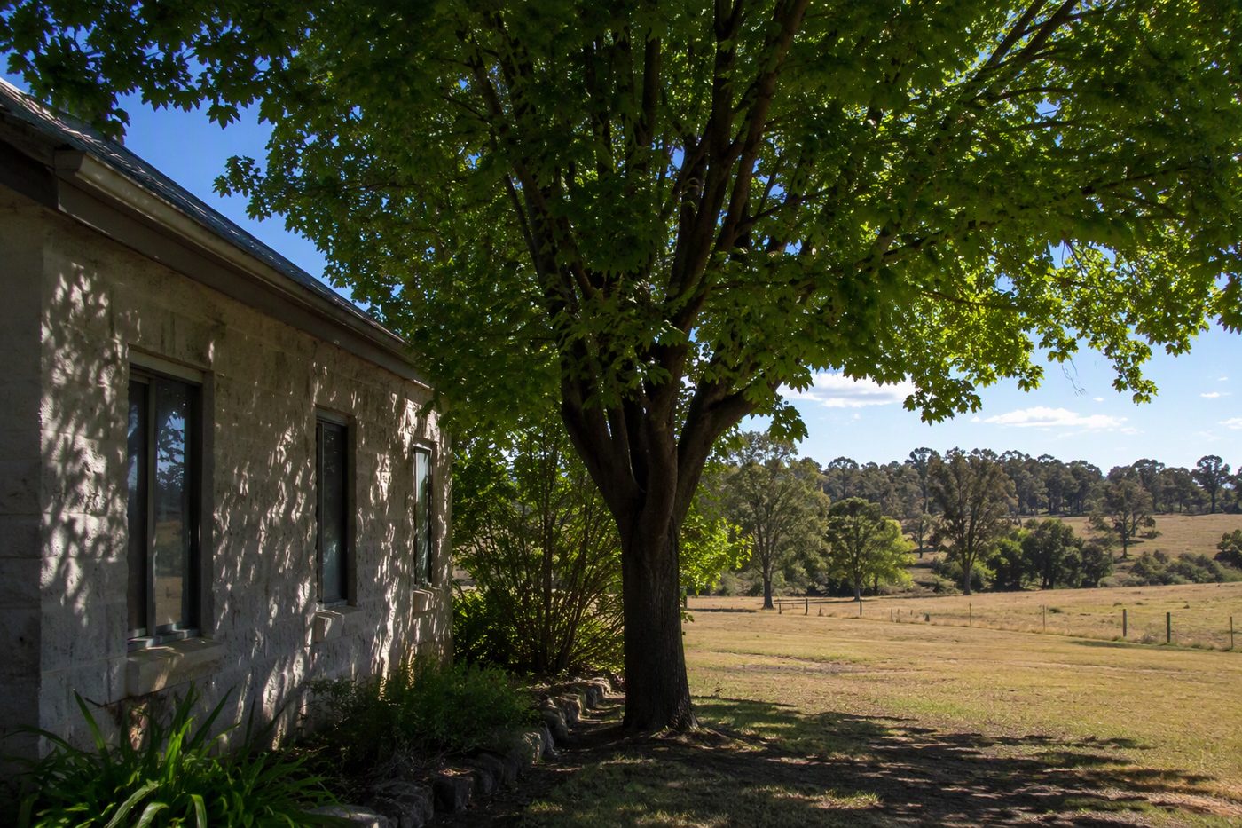 Generated illustration passive solar home orientation in australia