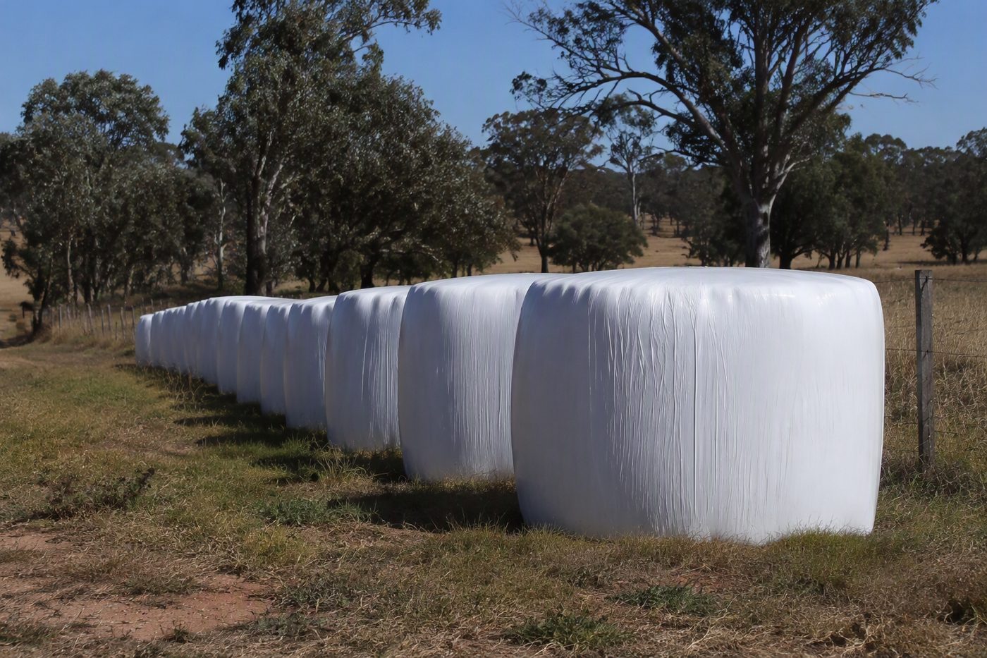 Generated illustration silage making