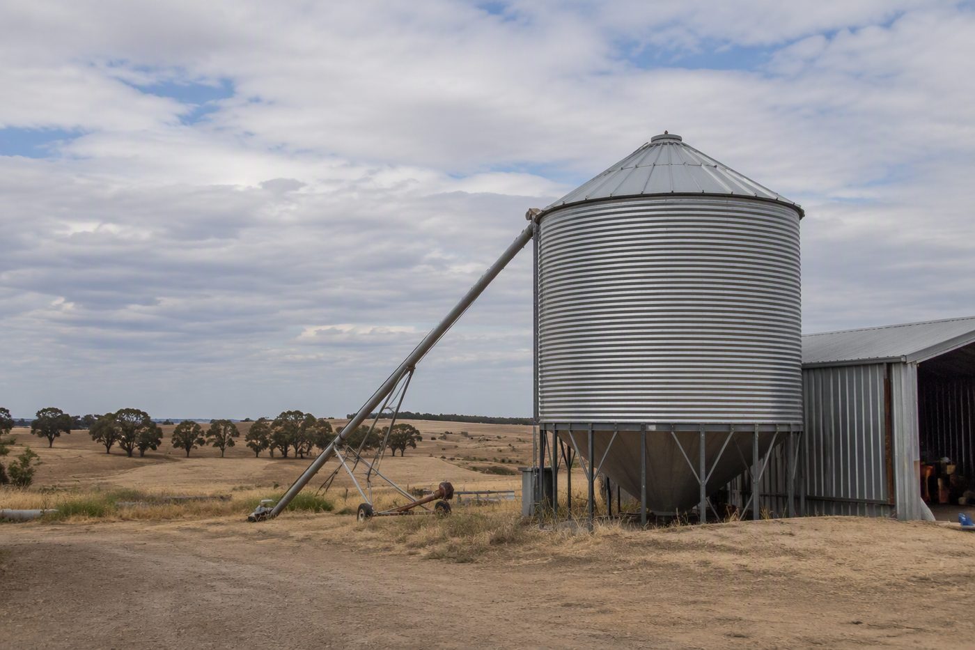 Generated illustration for silo-grain-storage