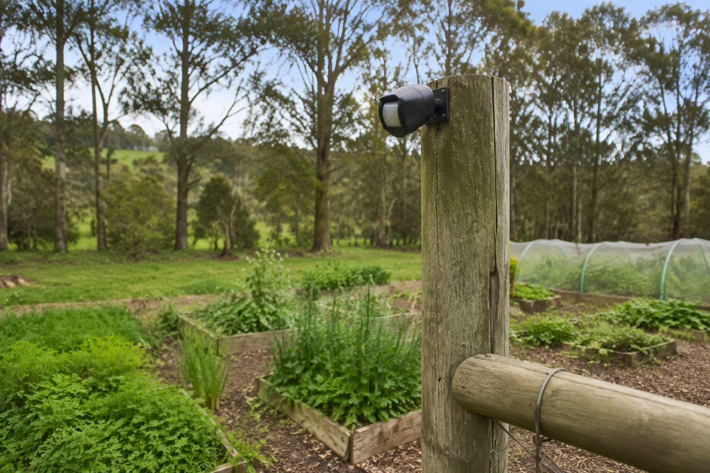 Generated illustration for wild-animal-deterrents